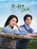 木一林的珍珠海报